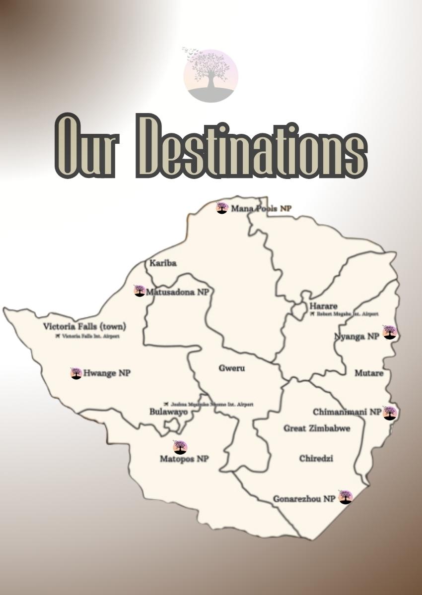 Nyika Vision Safaris