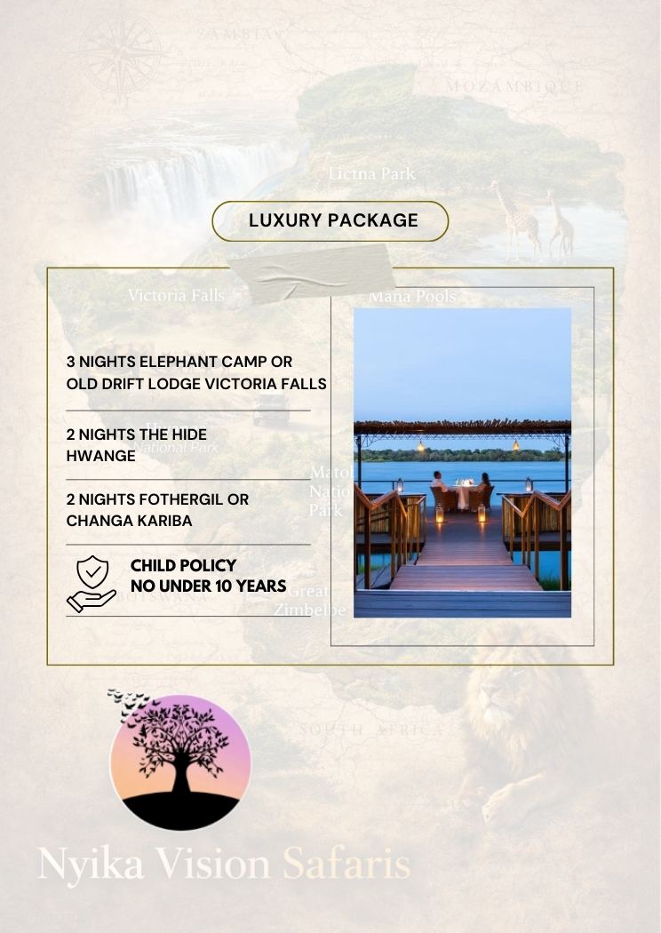 Luxury Package