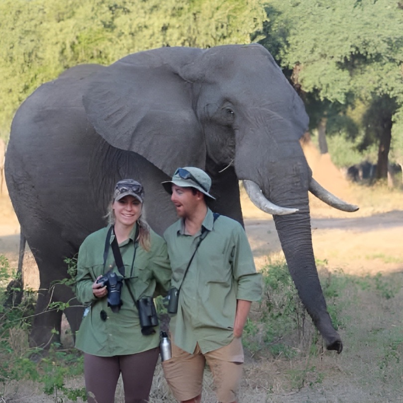 Safari Image 4