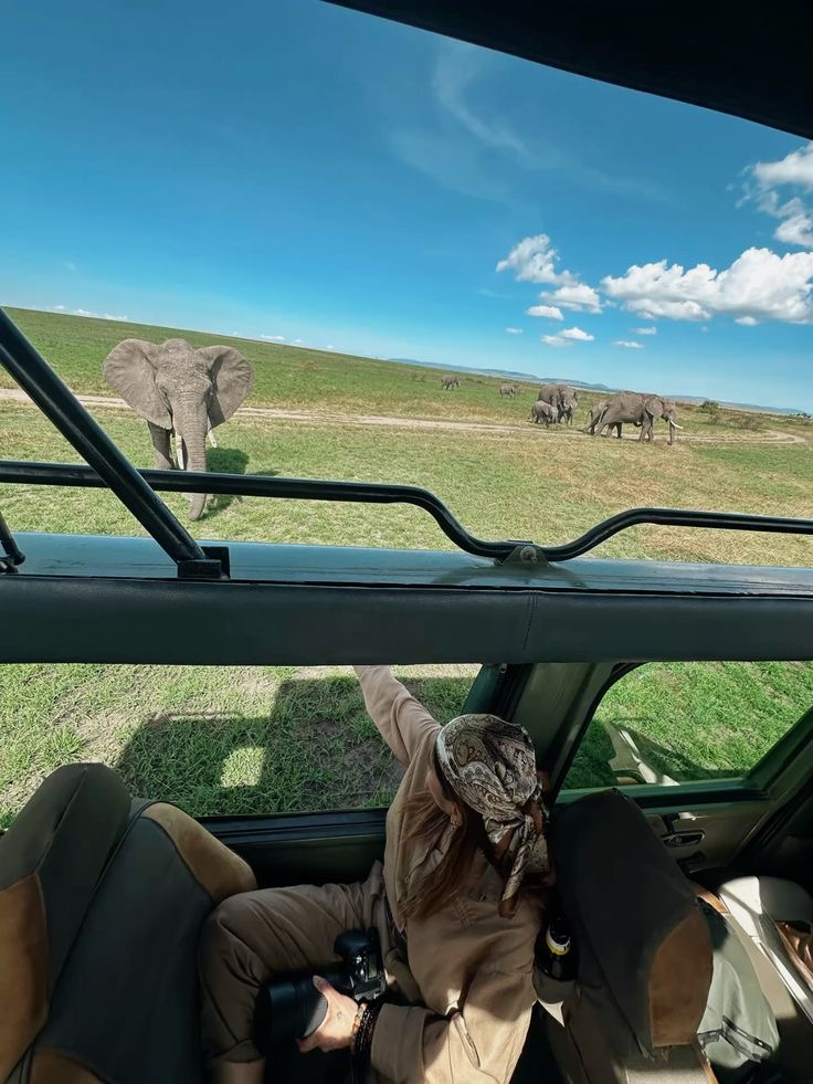 Safari Image 14
