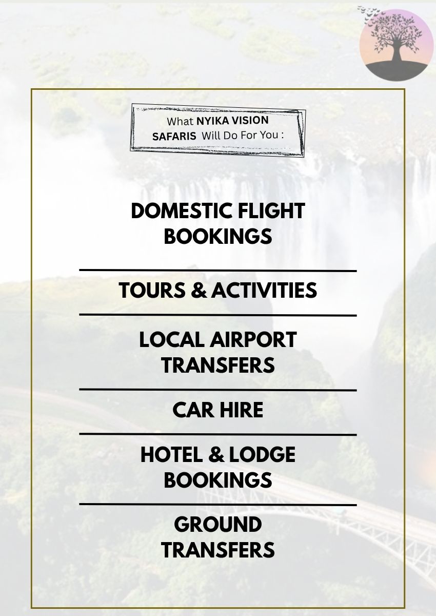 Nyika Vision Safaris