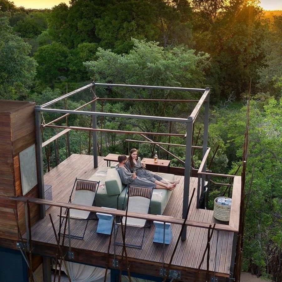 Safari Image 2