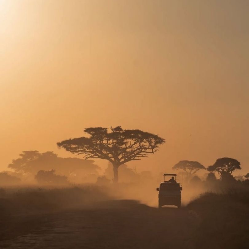 Safari Image 7