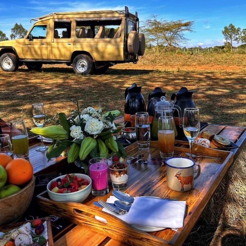 Safari Image 13