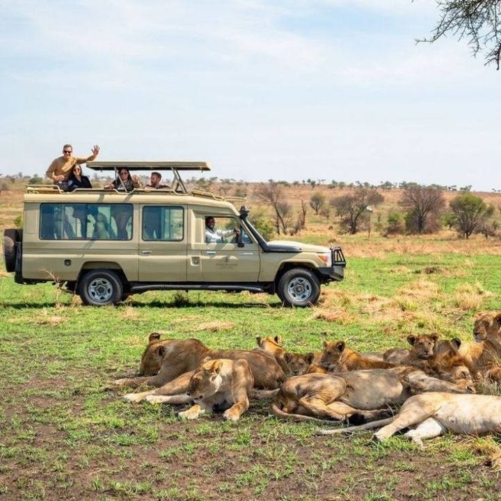 Safari Image 15